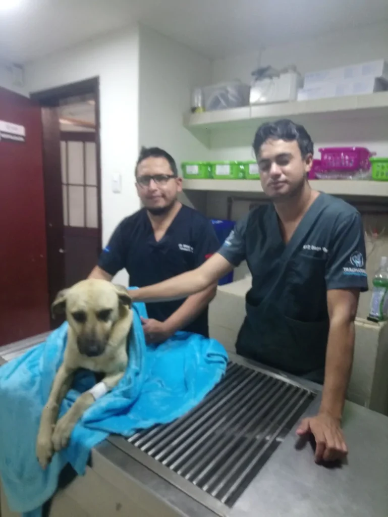 Dr. Bruno Cuenca, traumatólogo de Lu