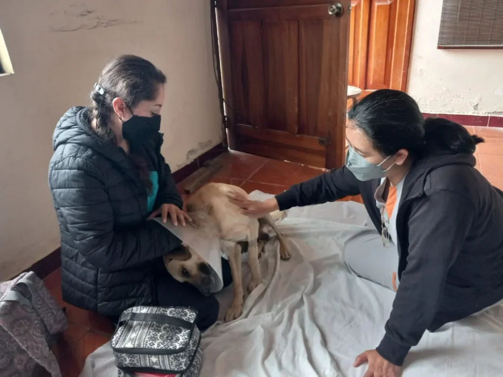 Lu en sus sesiones de fisioterapia con la Dra. Dayana Bodero (izquierda) y Diana Paz, su doctora de cabecera 