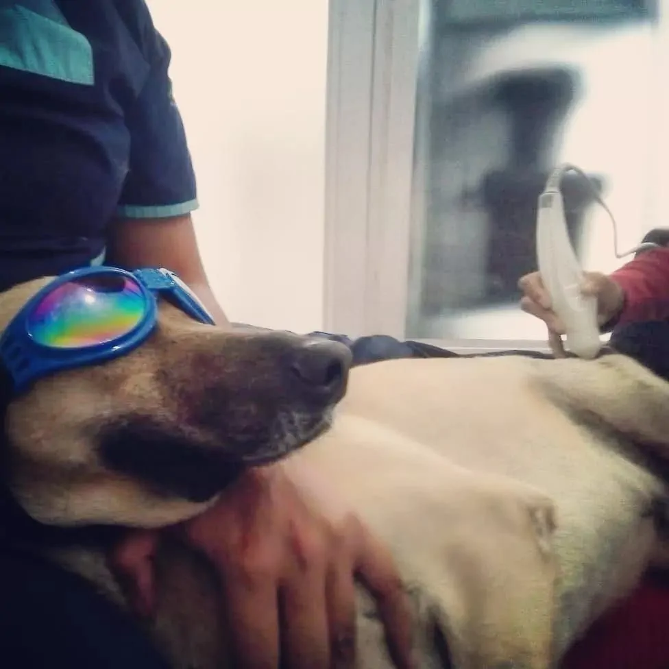 Lu en sus sesiones de fototerapia 